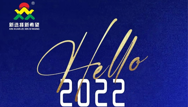 再见2021！你好2022
